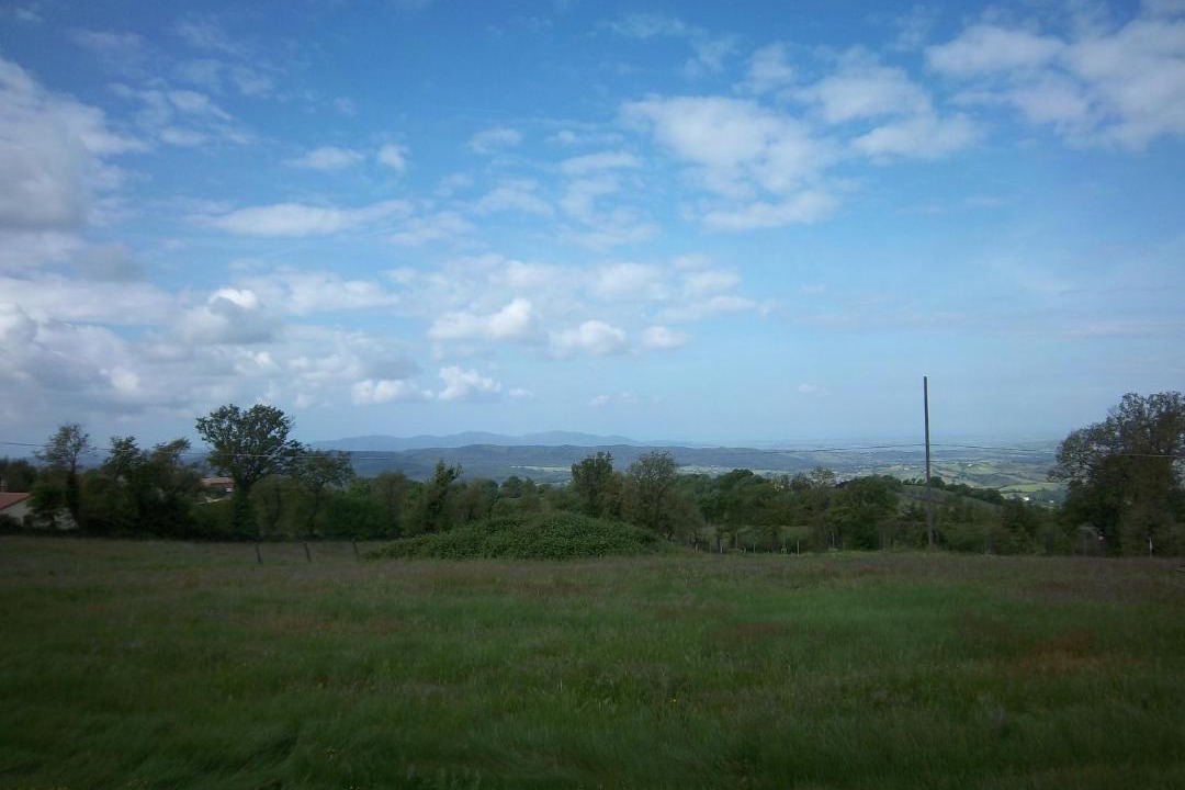 Photo of Others in Pancole
