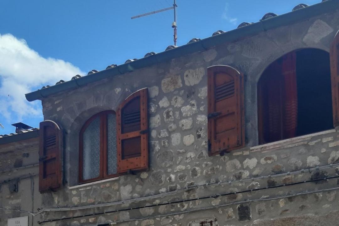 Photo of Others in Torniella