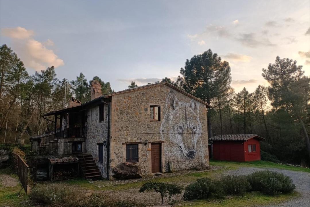 Photo of Others in Torre Alfina