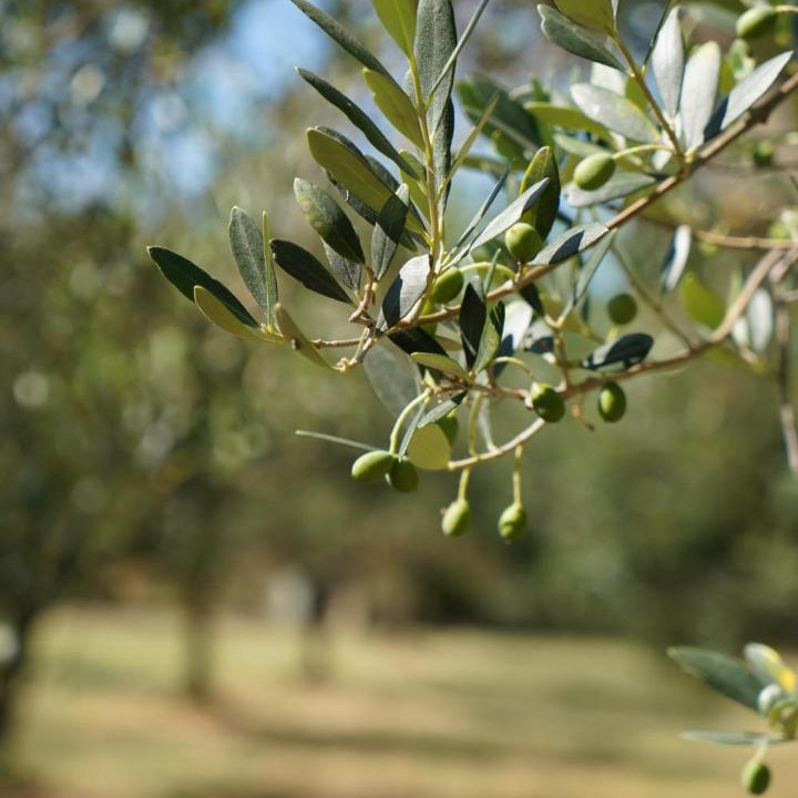 Photo of Outdoor in Casalbordino