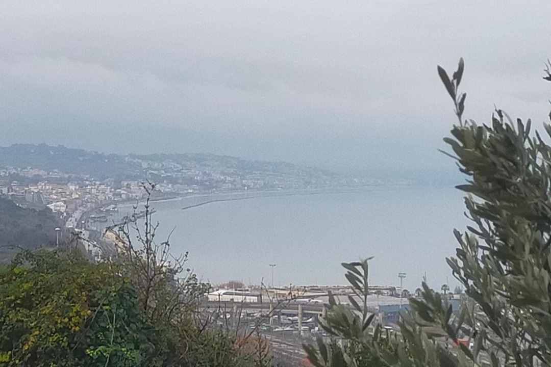 Photo of Others in Ancona