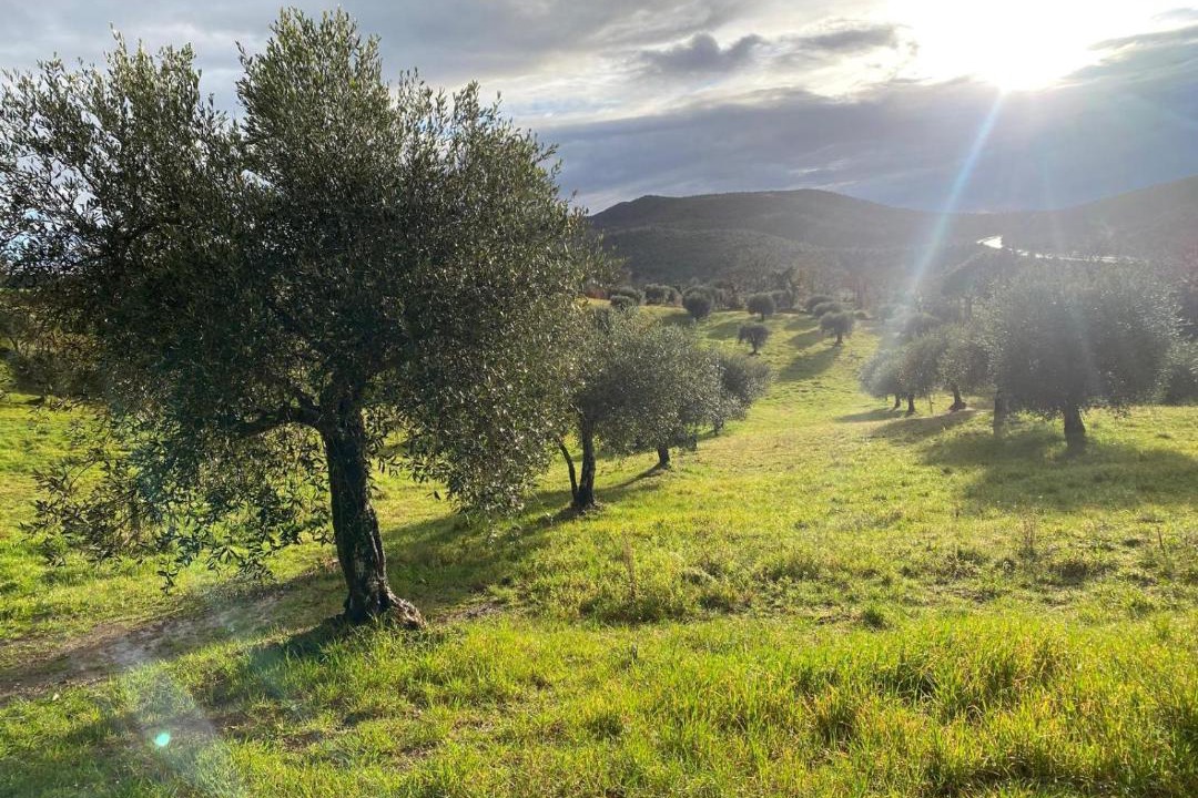 Photo of Others in Montorsaio