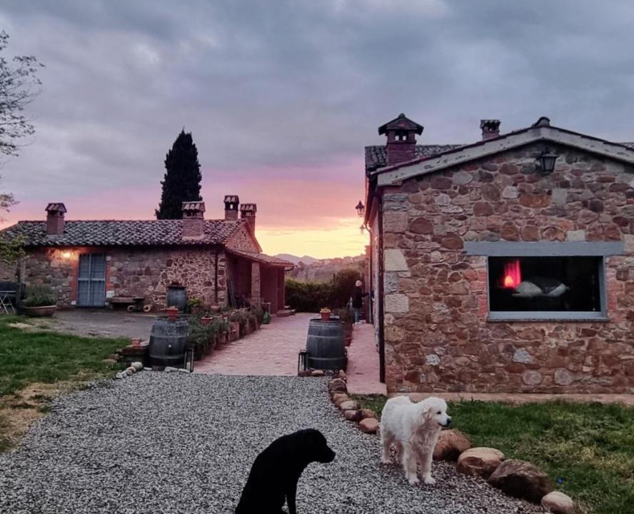 Photo of Others in Trevinano