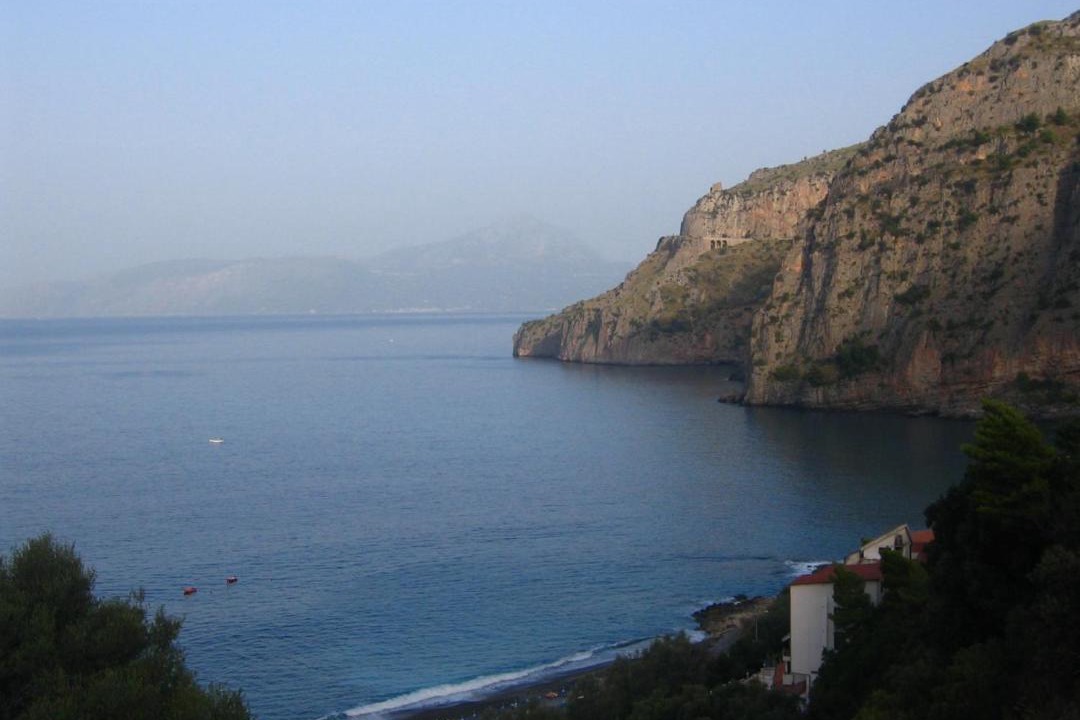 Photo of Others in Scario
