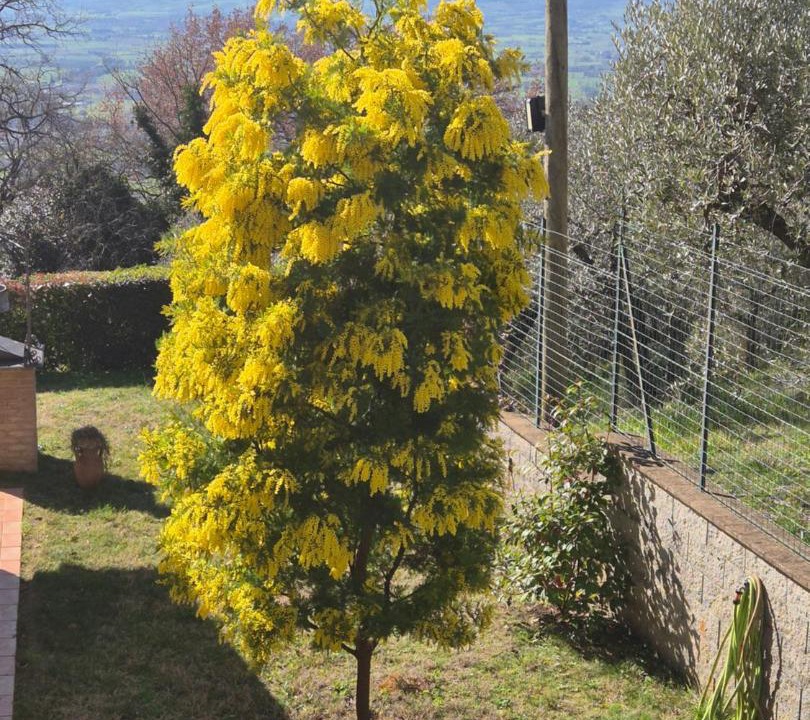 Photo of Outdoor in Assisi