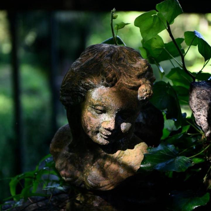 Photo of Others in Ozzano Monferrato
