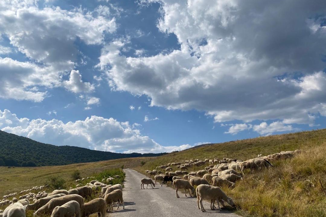 Photo of Others in Anversa degli Abruzzi