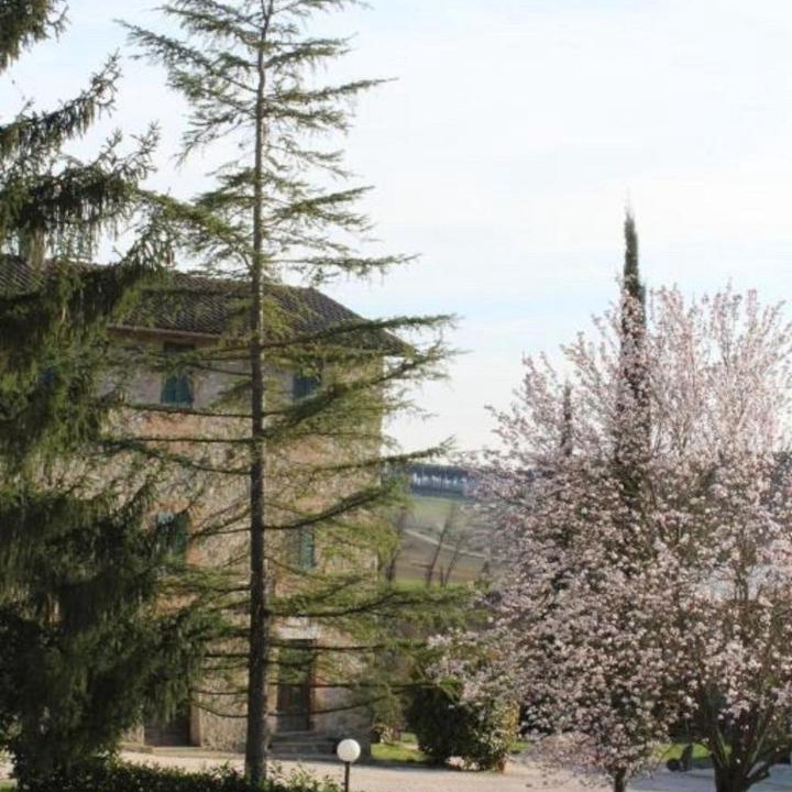 Photo of Others in Coltavolino