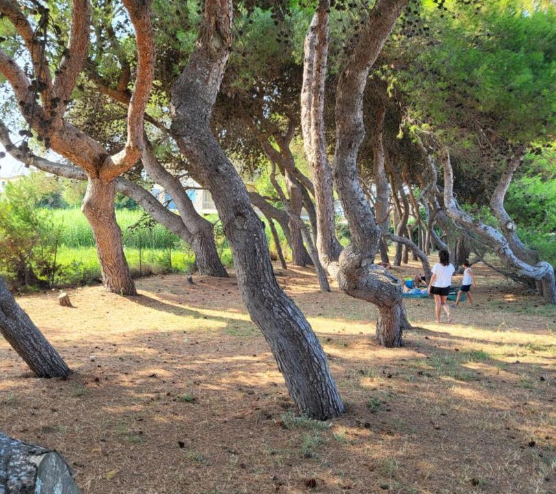 Photo of Others in Colonnella