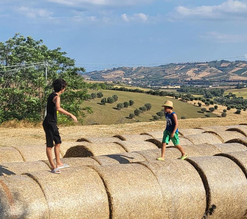 Photo of Others in Colonnella