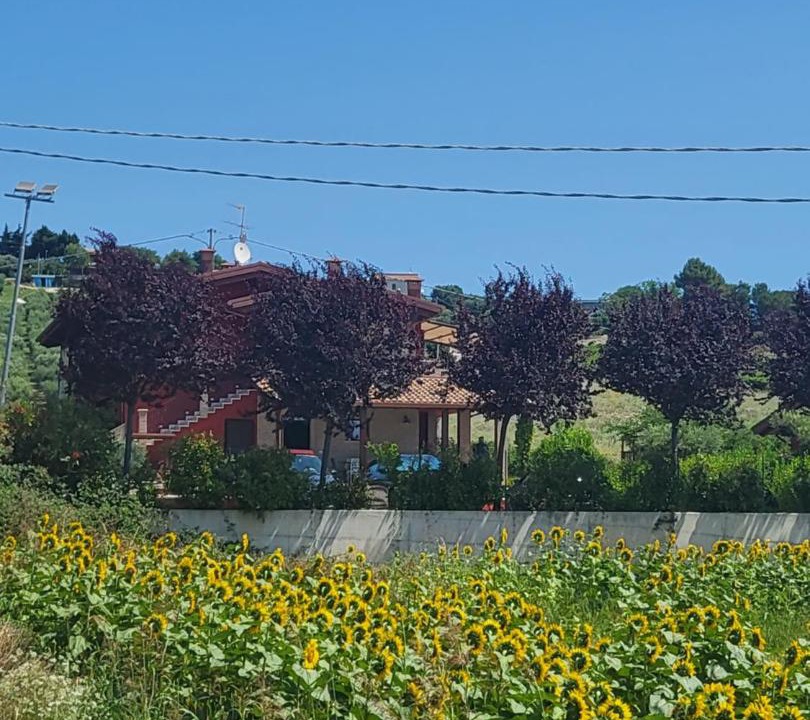 Photo of Others in Colonnella