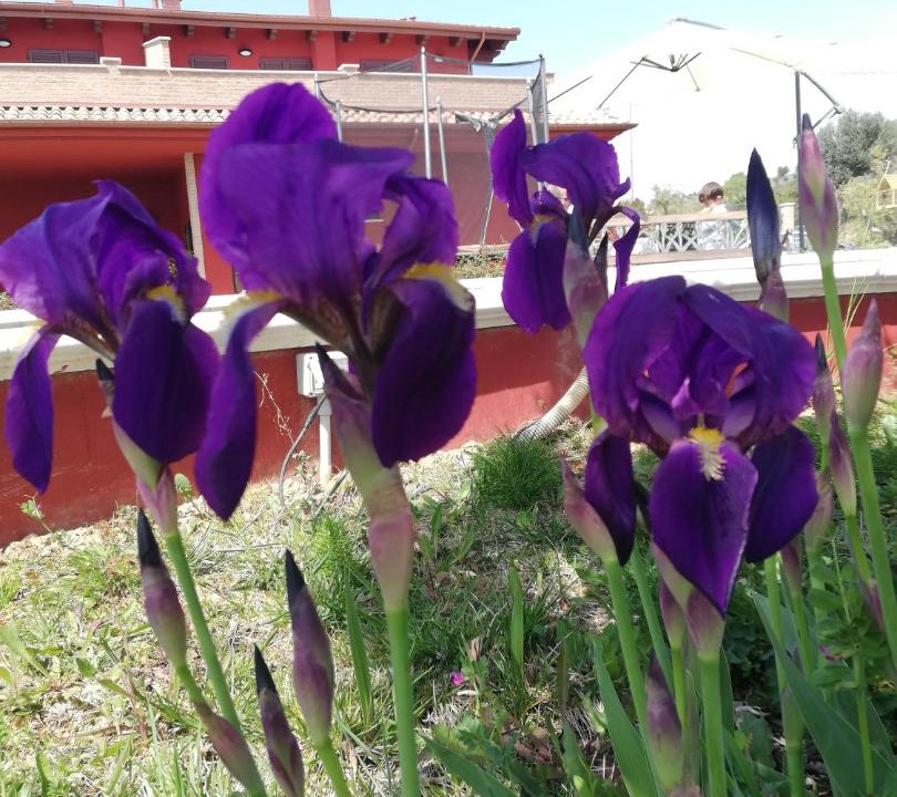 Photo of Others in Colonnella
