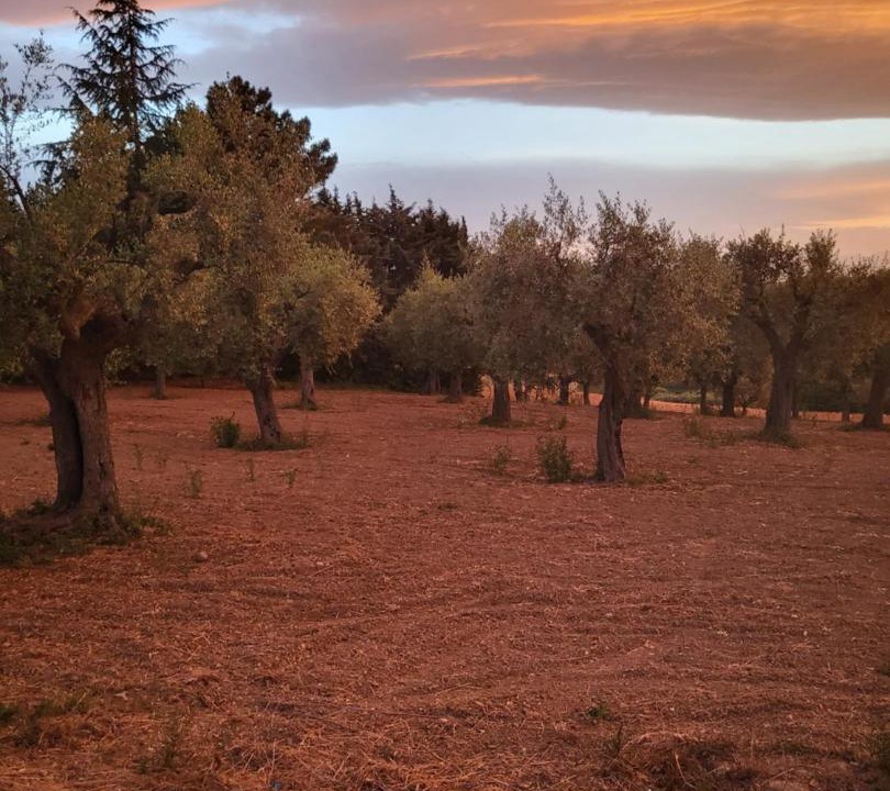 Photo of Others in Colonnella