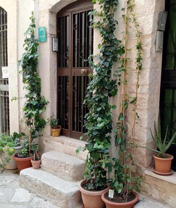 Photo of Others in Trani