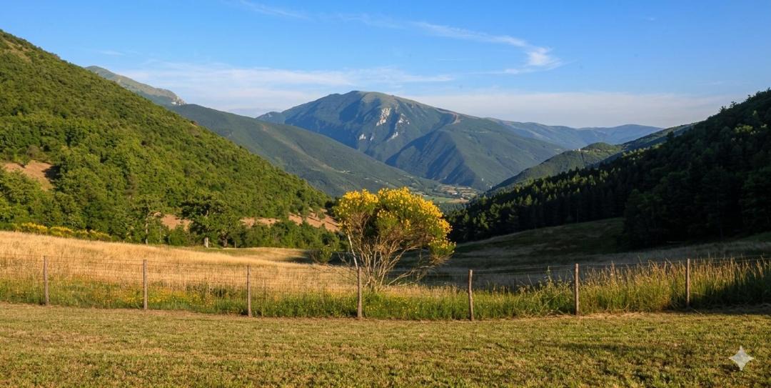 Photo of Others in Spoleto