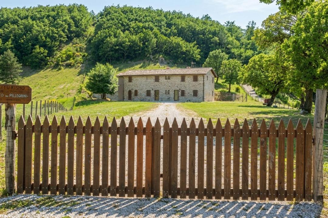 Photo of Others in Spoleto