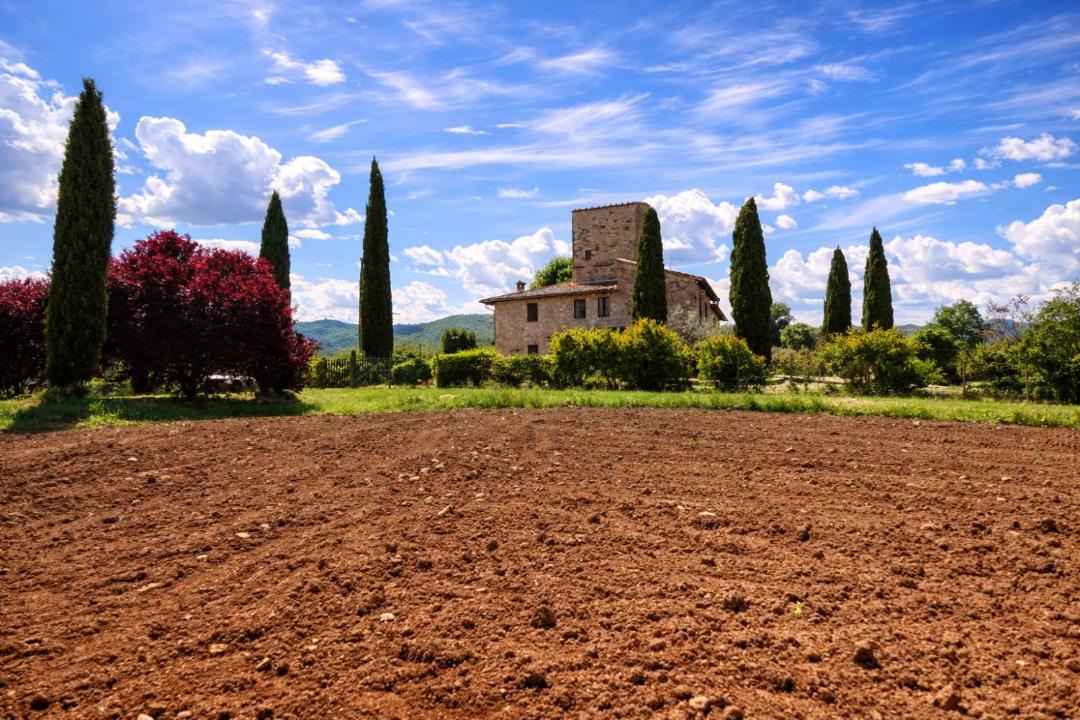 Photo of Others in Todi