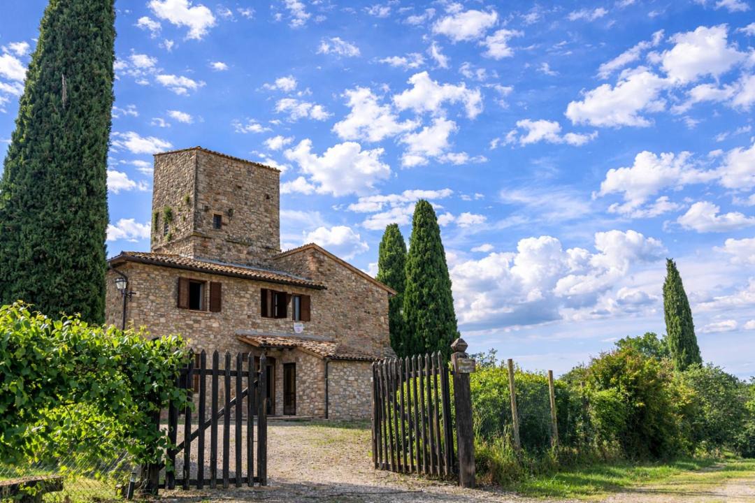 Photo of Others in Todi
