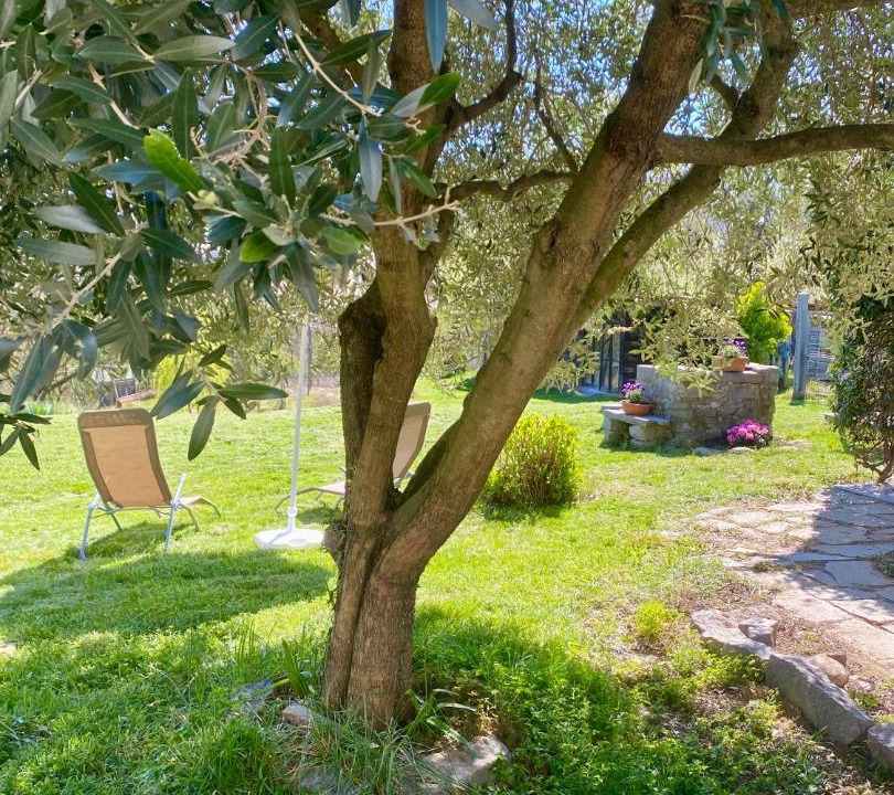 Photo of Others in Tollegno
