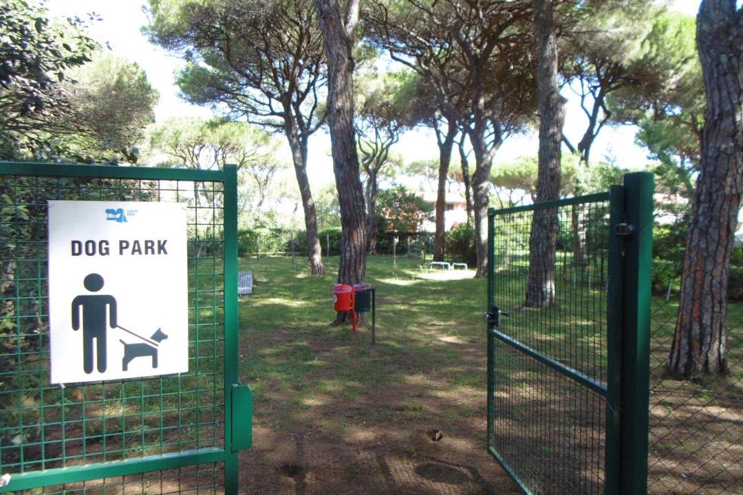 Photo of Others in Marina di Grosseto