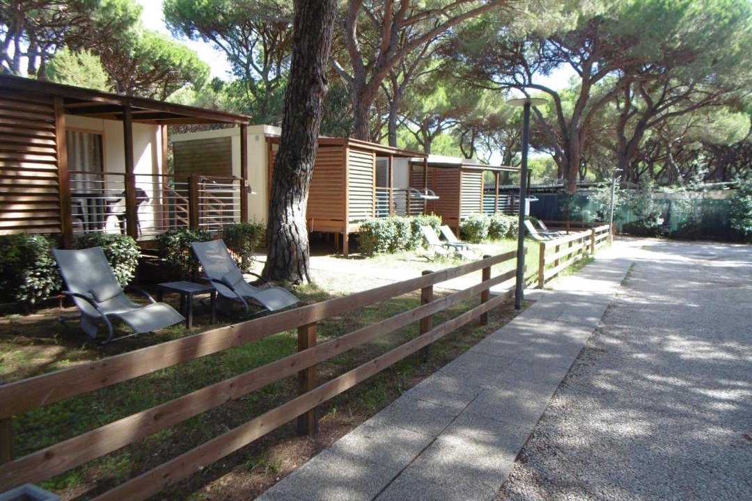 Photo of Others in Marina di Grosseto