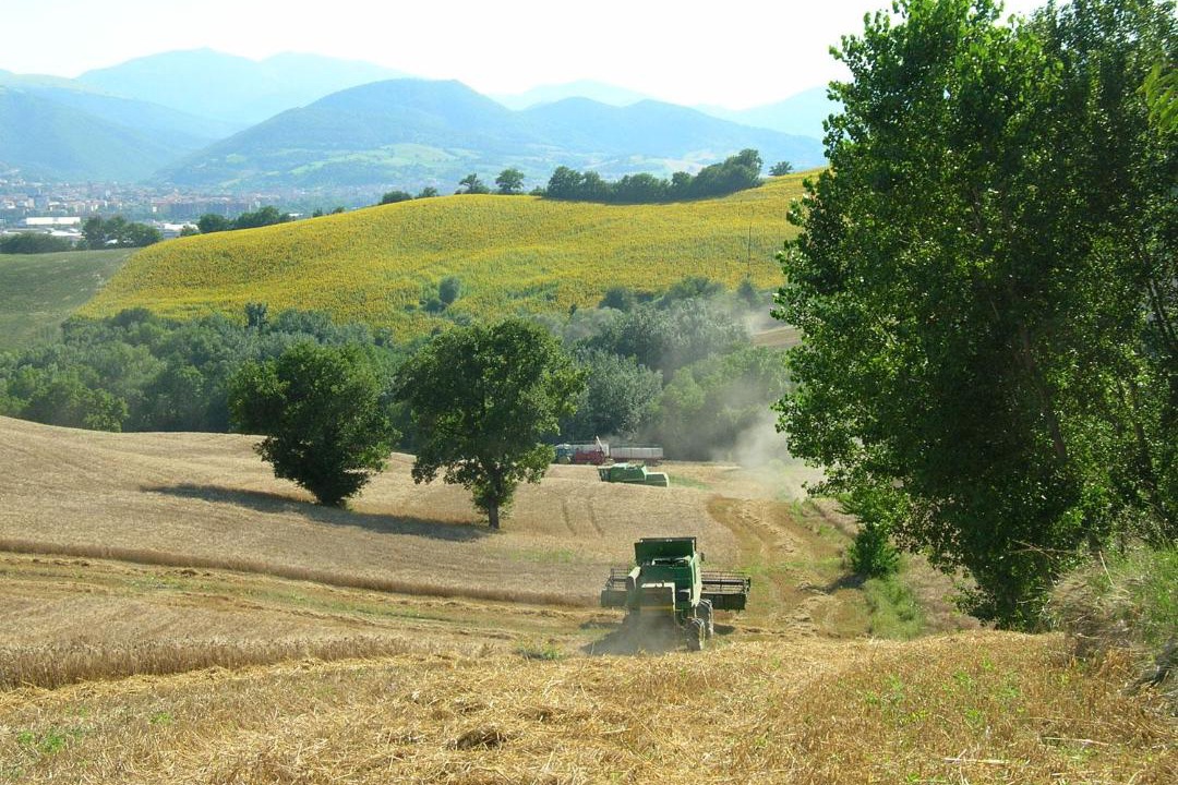 Photo of Others in Fabriano