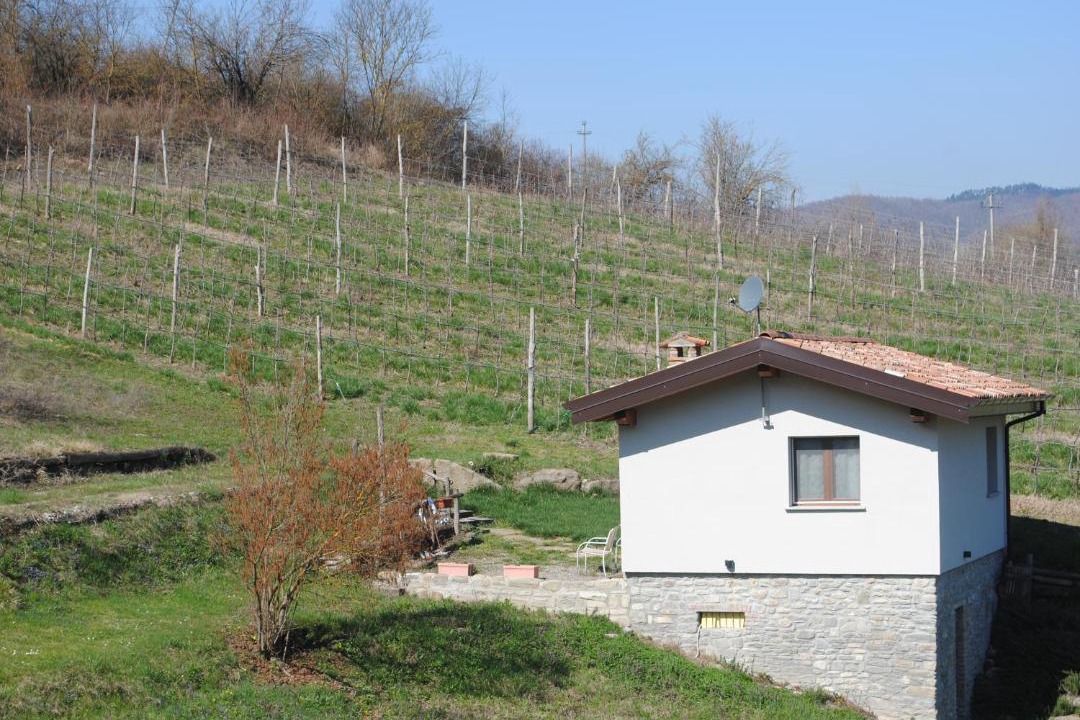 Photo of Others in Varzi