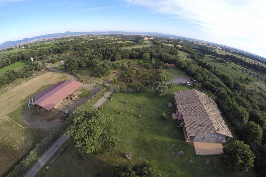 Photo of Others in Viterbo