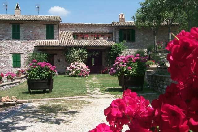 Photo of Others in Assisi