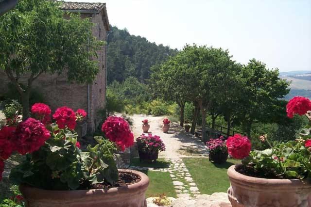 Photo of Others in Assisi