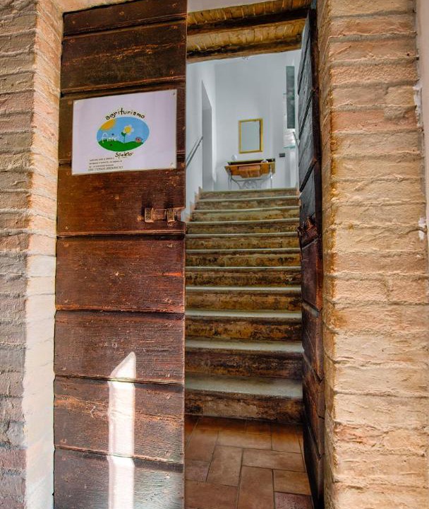 Photo of Others in San Brizio