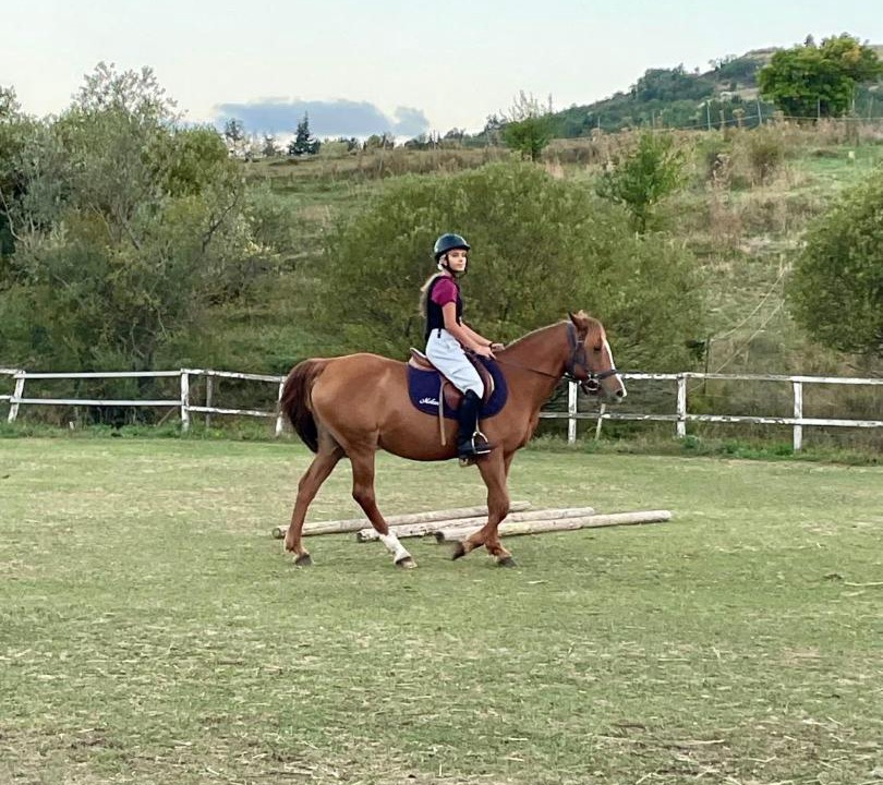 Photo of Others in Torricella Peligna