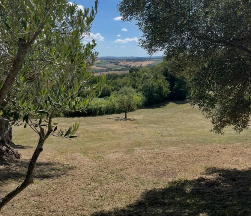 Photo of Others in Troviggiano