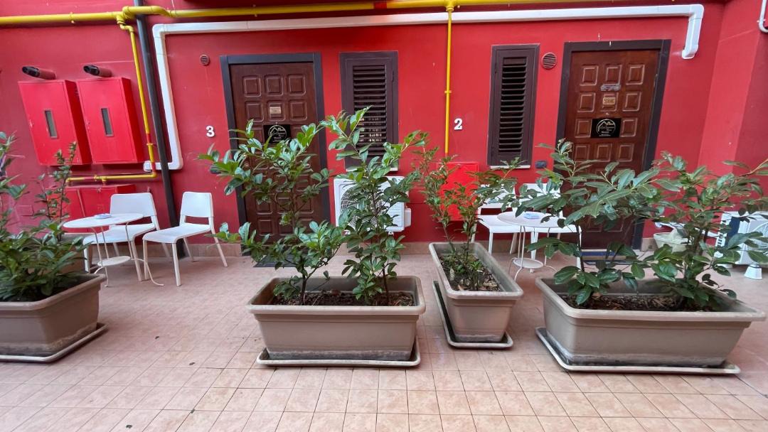 Photo of Others in Avellino