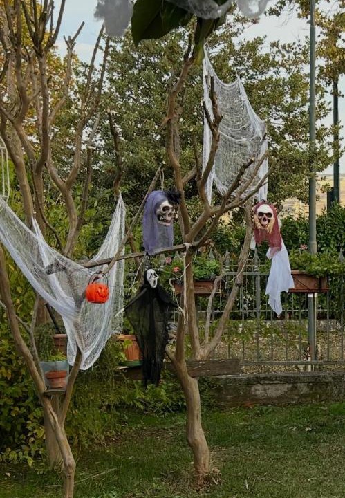 Photo of Others in Vallata