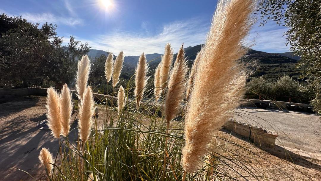 Photo of Outdoor in Scandriglia