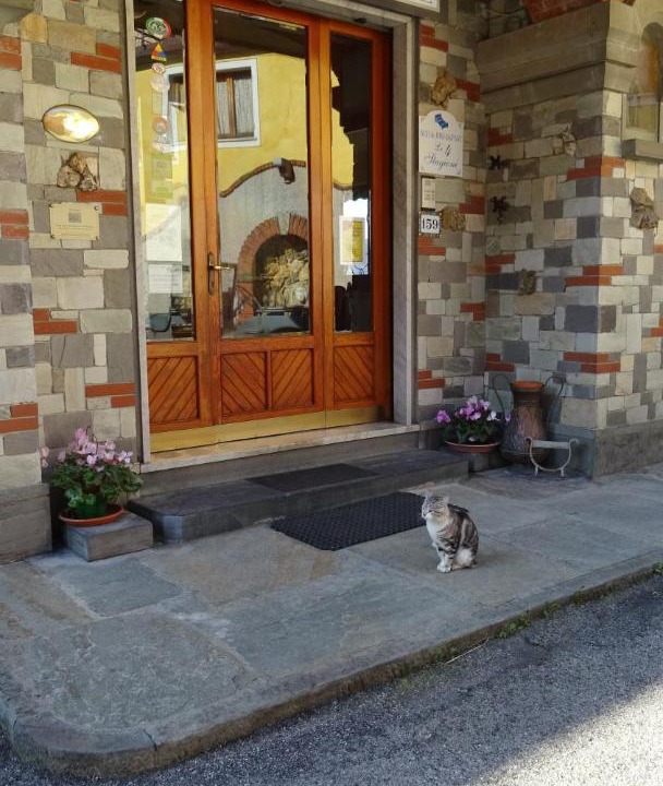 Photo of Others in Ognio
