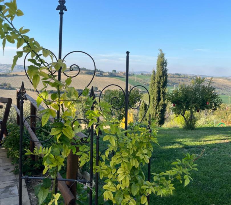 Photo of Others in Fermo