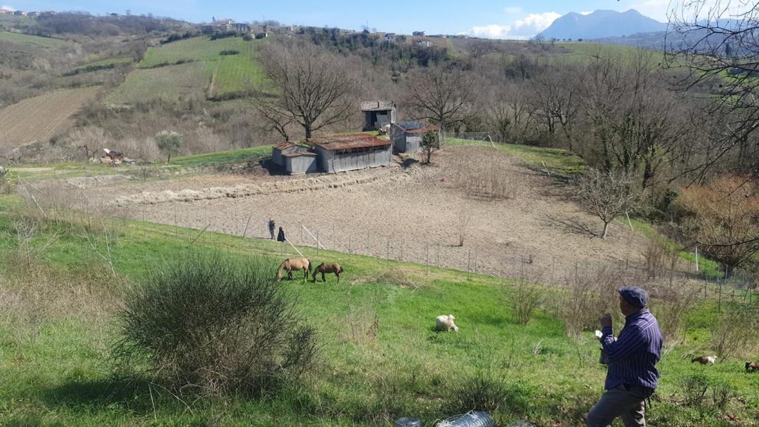 Photo of Others in Santa Paolina