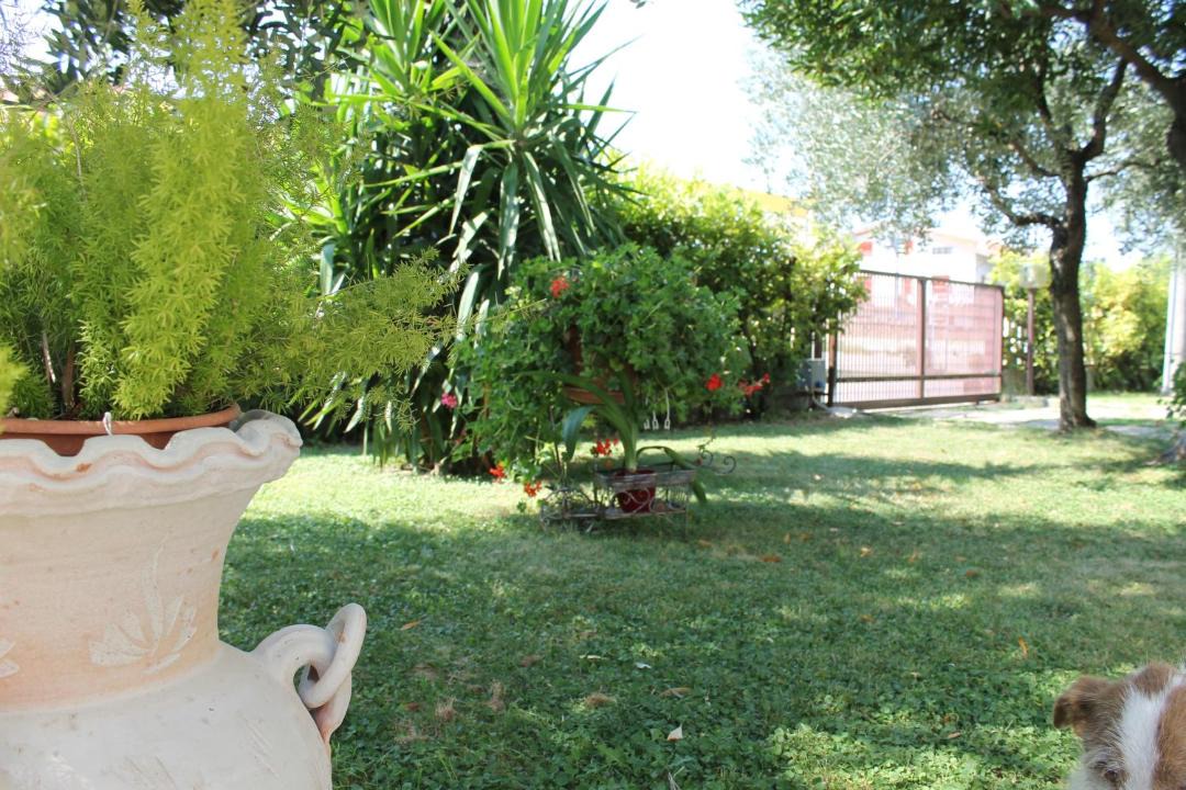 Photo of Others in Canosa Sannita