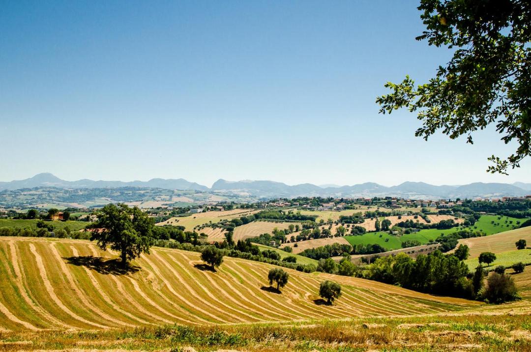 Photo of Others in Ostra Vetere