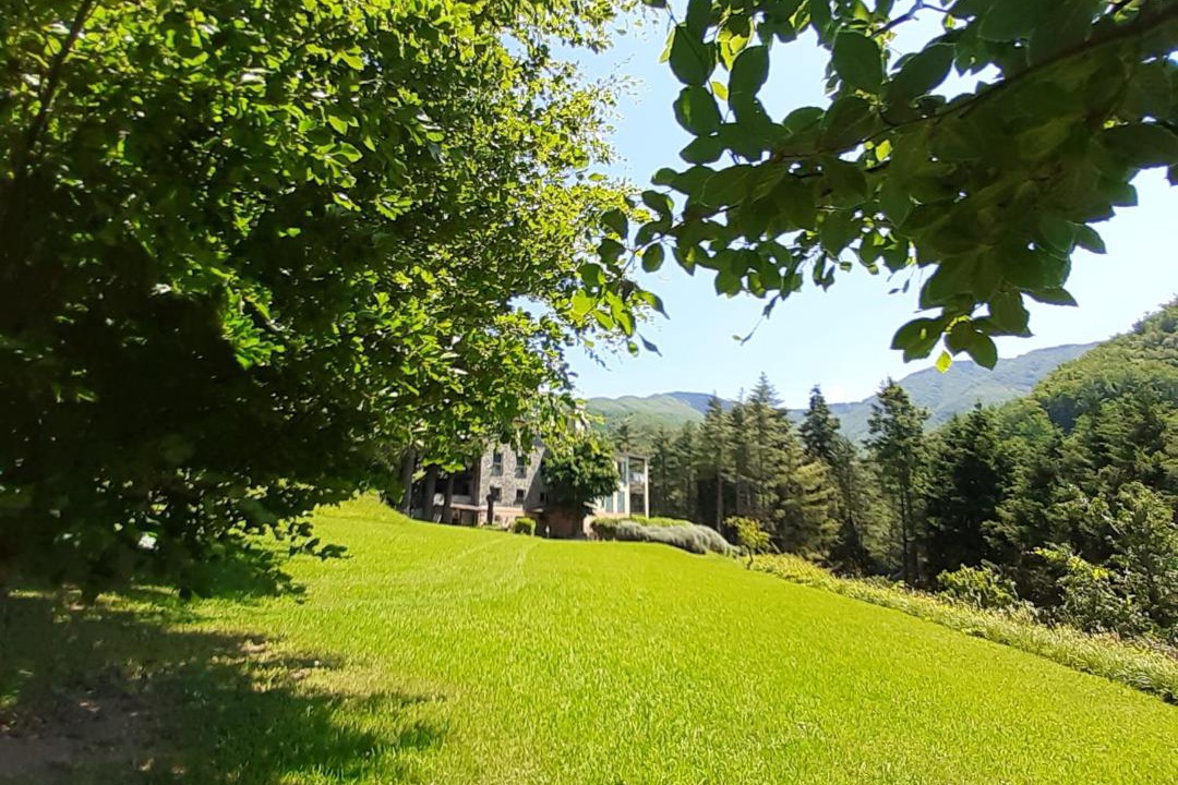 Photo of Others in Borzonasca