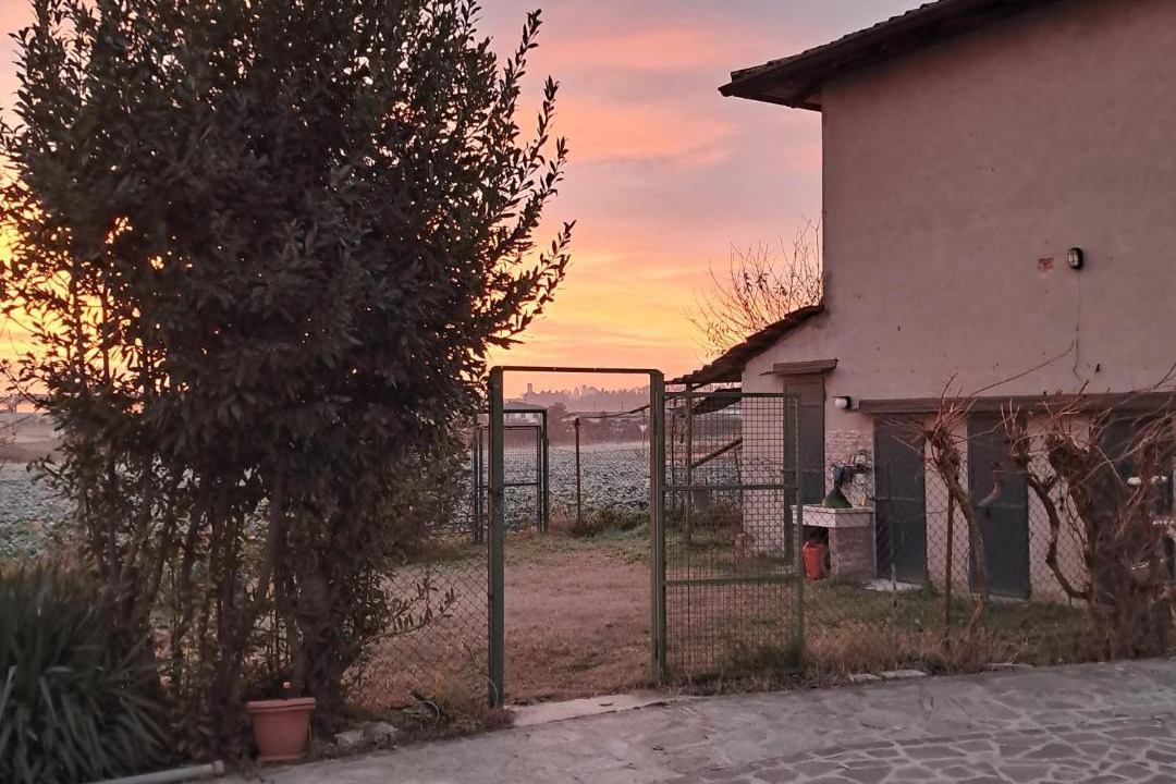Photo of Others in Stradella