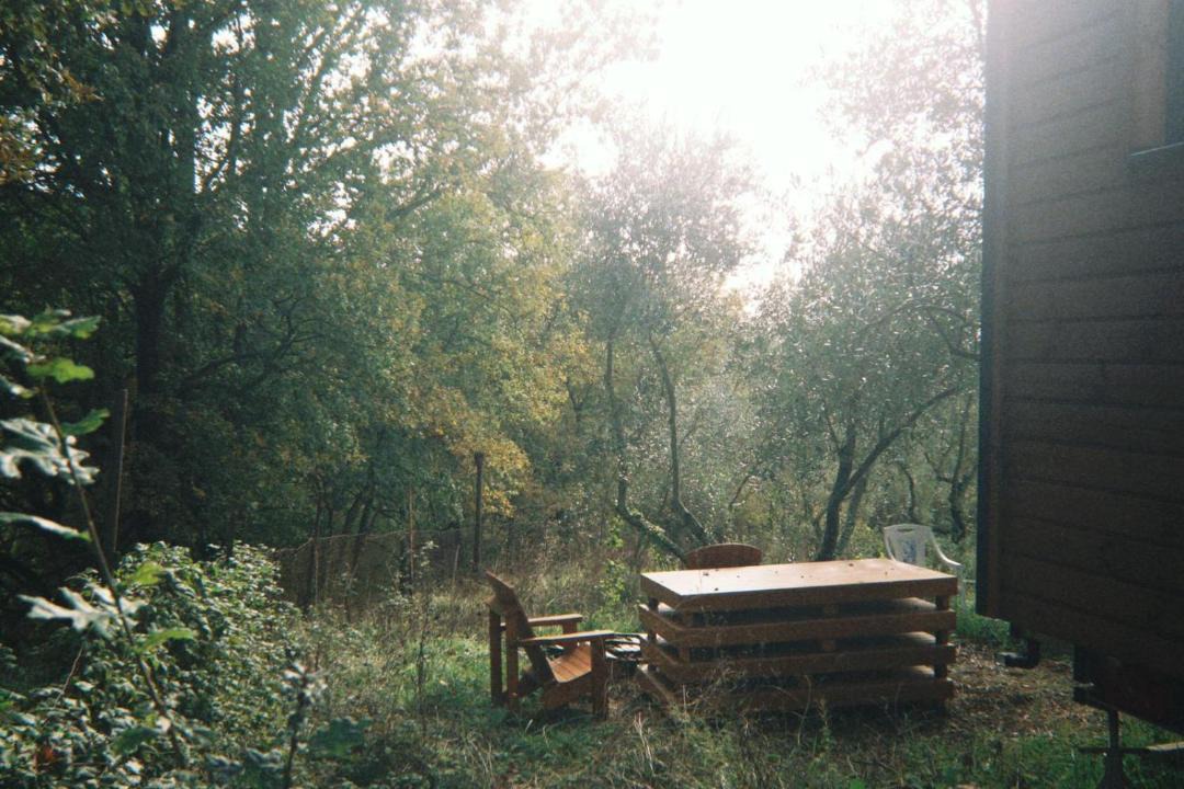Photo of Others in Forcella