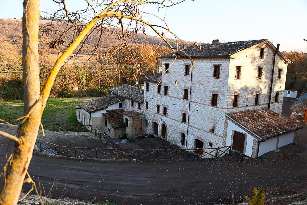 Photo of Others in Pergola