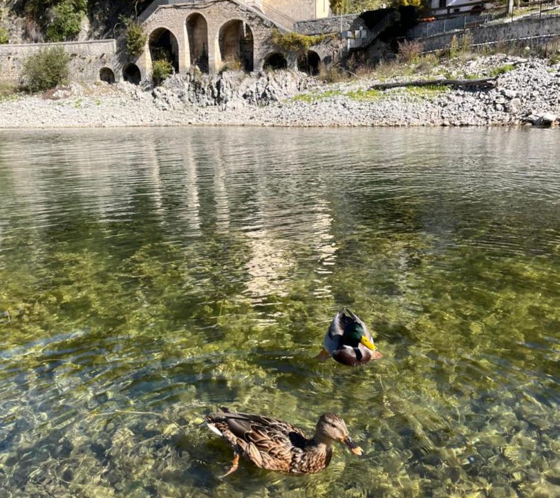 Photo of Others in Scanno