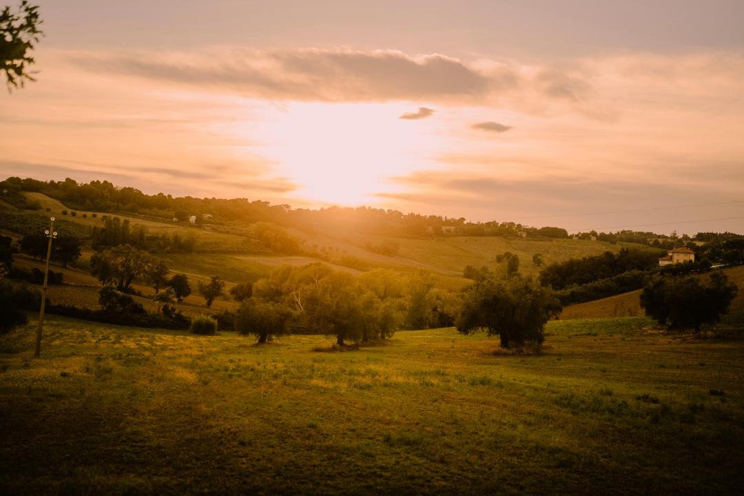 Photo of Others in Monte San Vito