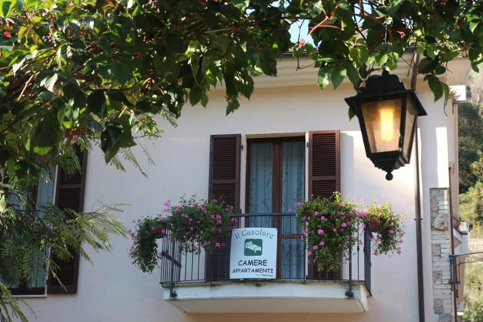 Photo of Others in Terni