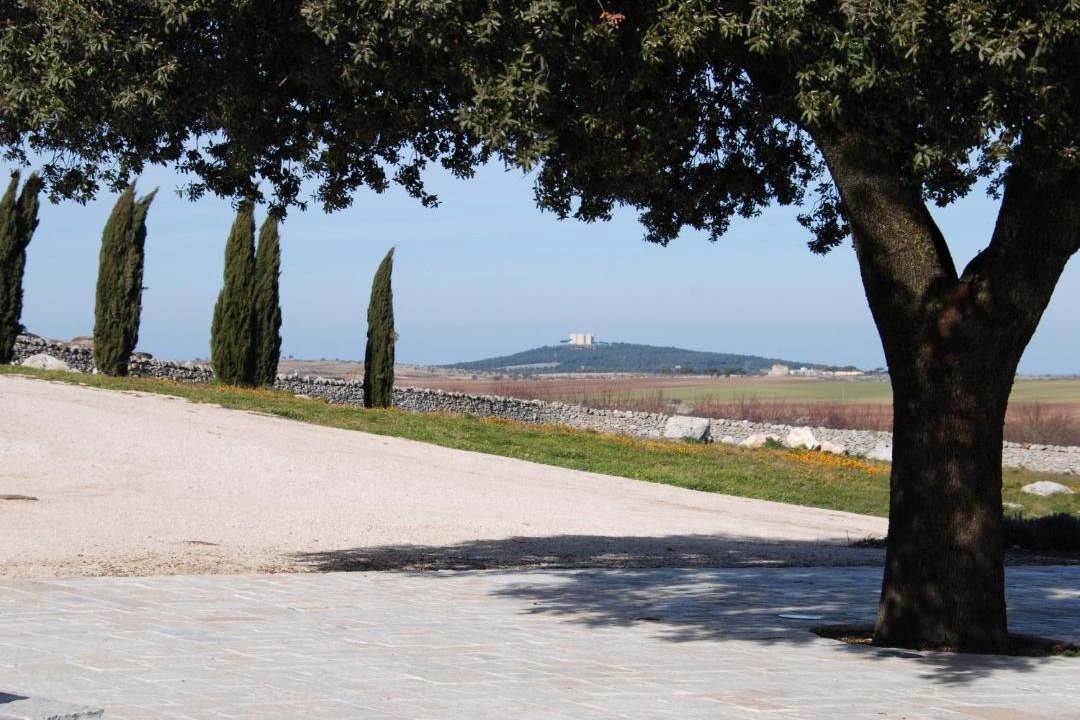 Photo of Others in Corato