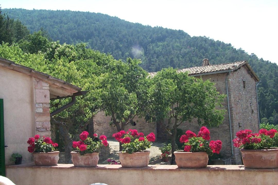 Photo of Others in Assisi